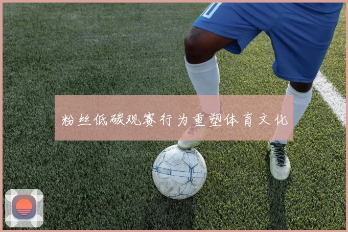 粉丝低碳观赛行为重塑体育文化