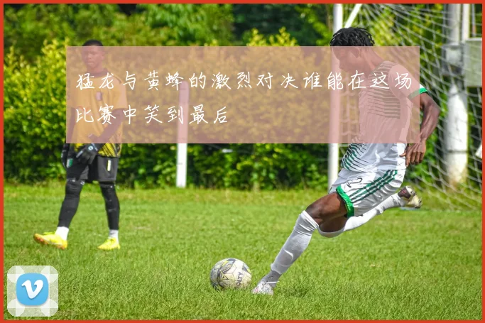 猛龙与黄蜂的激烈对决谁能在这场比赛中笑到最后