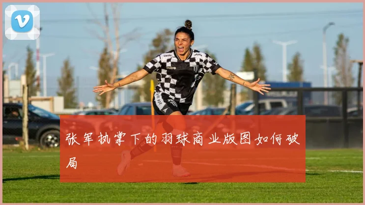 张军执掌下的羽球商业版图如何破局