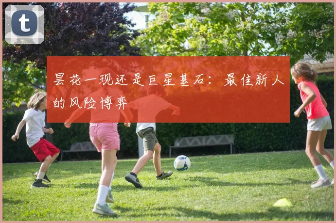 昙花一现还是巨星基石：最佳新人的风险博弈