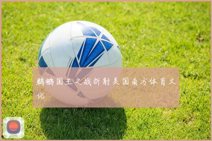 鹈鹕国王之战折射美国南方体育文化
