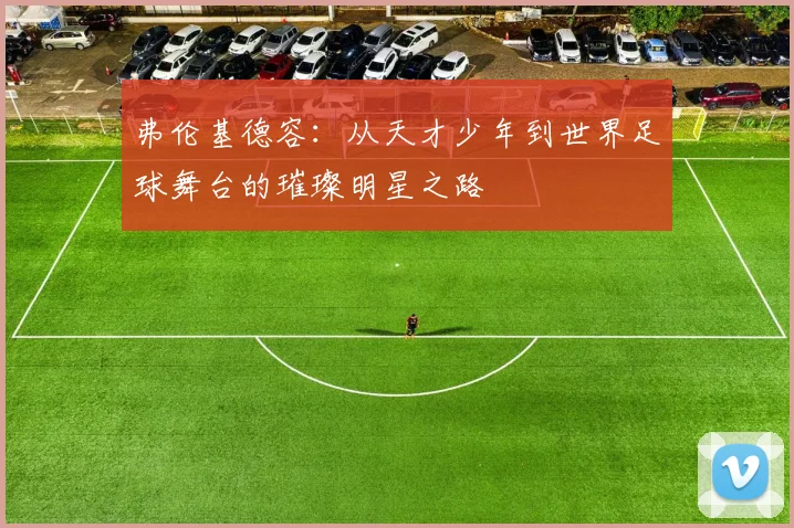 弗伦基德容：从天才少年到世界足球舞台的璀璨明星之路